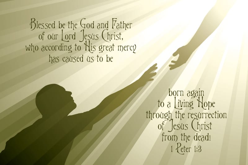 YOU MUST BE BORN AGAIN