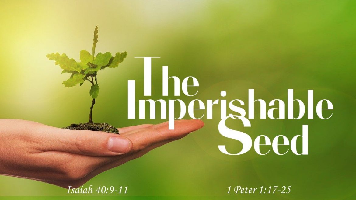 We are created of imperishable seed