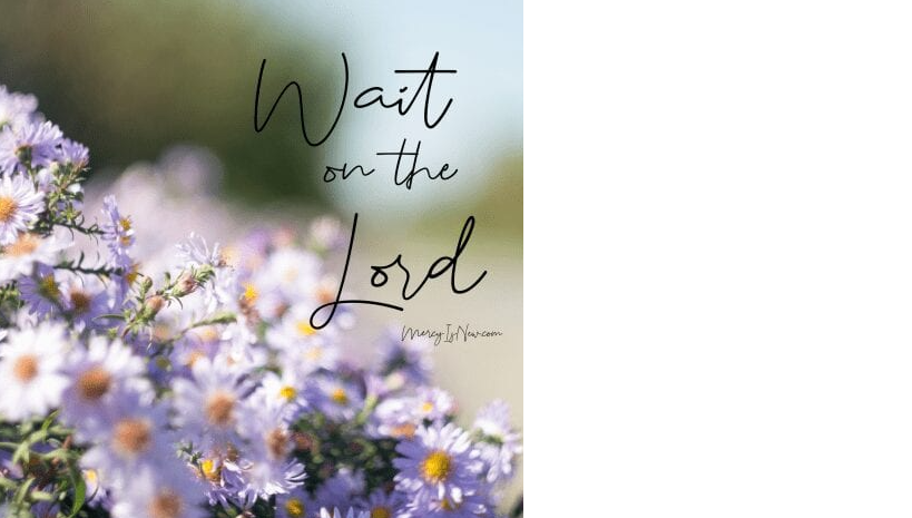 Wait for the Lord